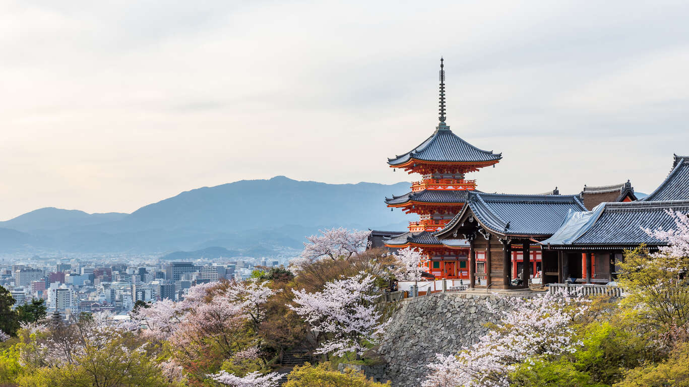Circuit accompagné en petit groupe au Japon