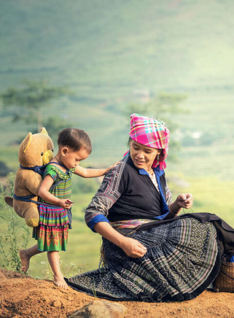 Nord Vietnam : Montagnes, rizières et minorités ethniques
