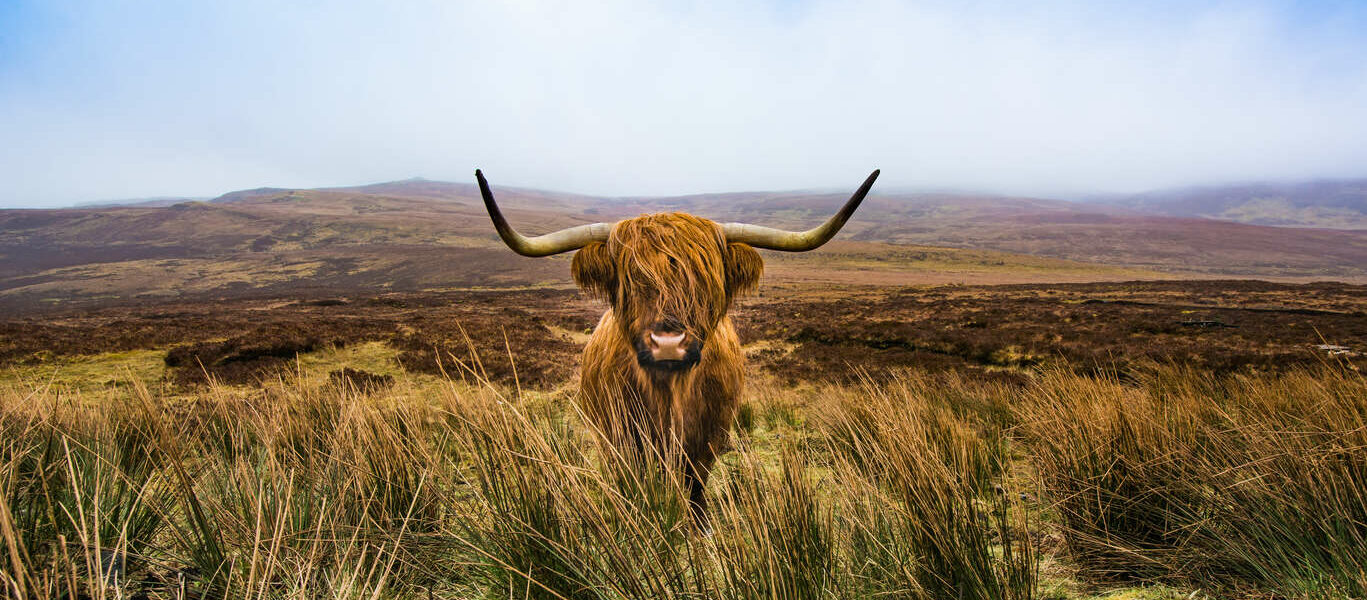 Les incontournables de l’Ecosse