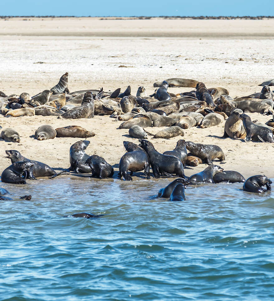 Les activités de Swakopmund en Namibie