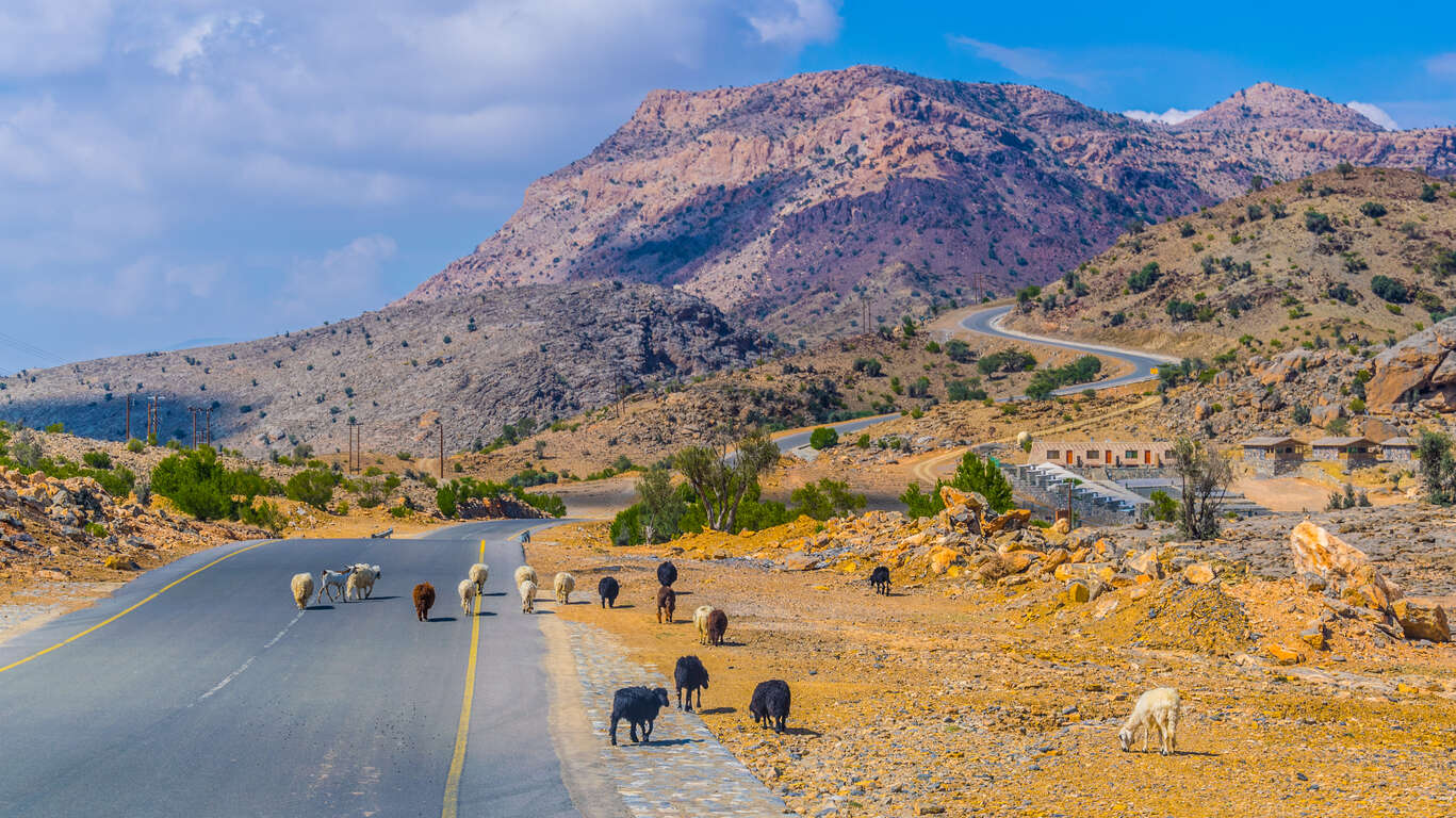 Circuit nature et aventure douce à Oman 