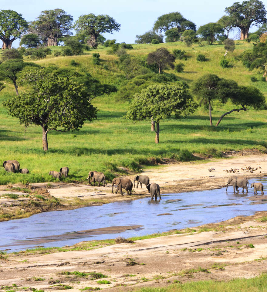 Quand partir découvrir le Parc du Serengeti ?