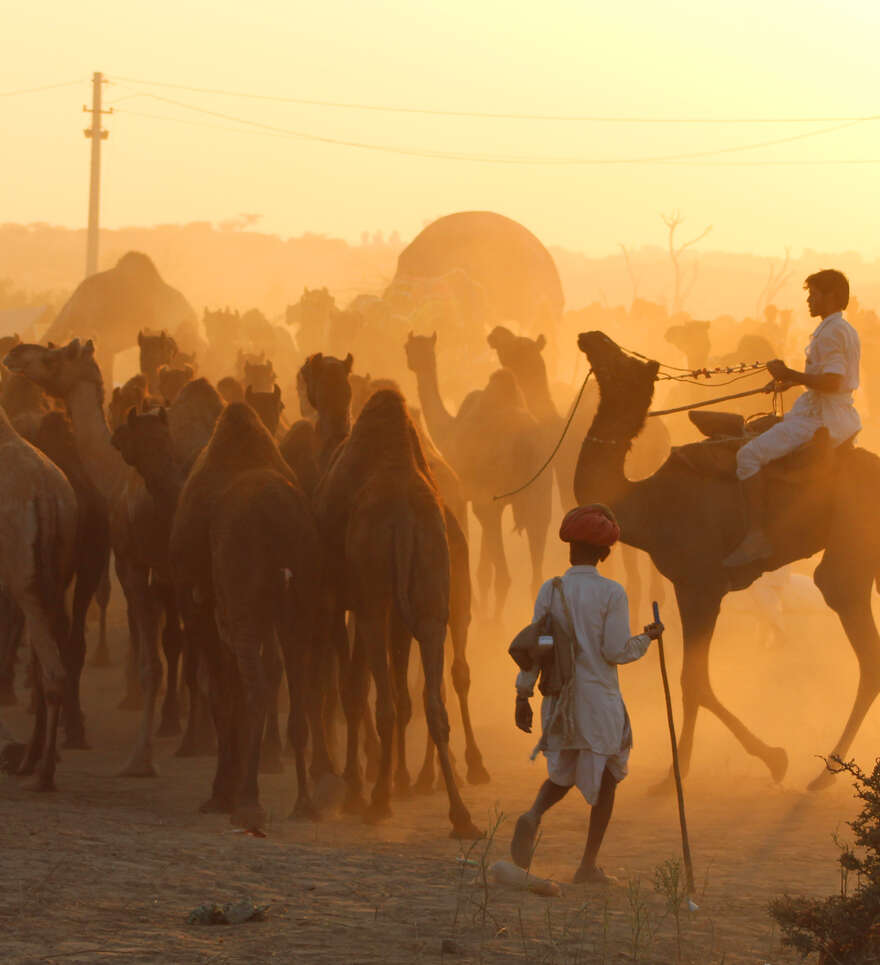 Les incontournables de Pushkar en Inde 