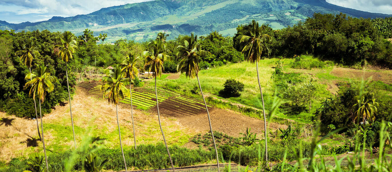 Escapade active et tropicale en Martinique