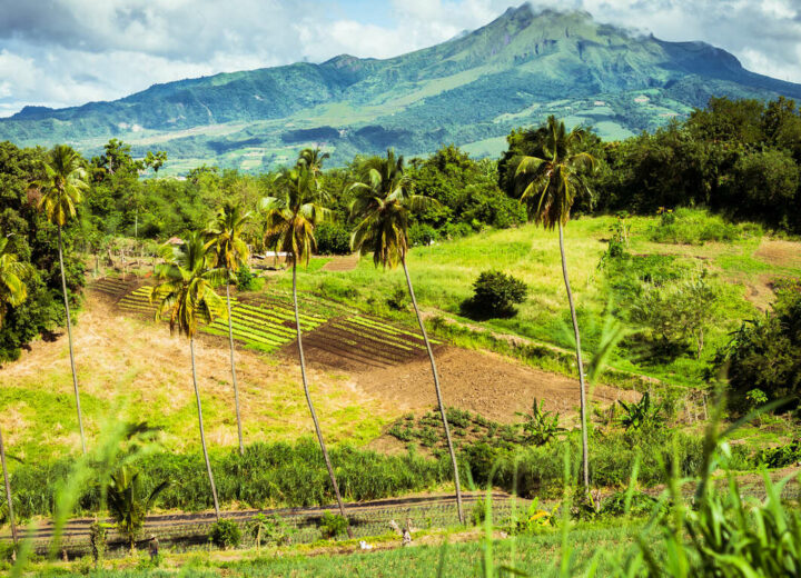 Escapade active et tropicale en Martinique