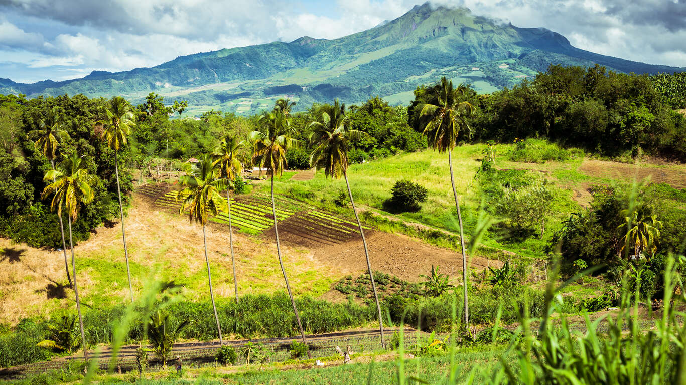 Séjour randonnée et sportif en Martinique