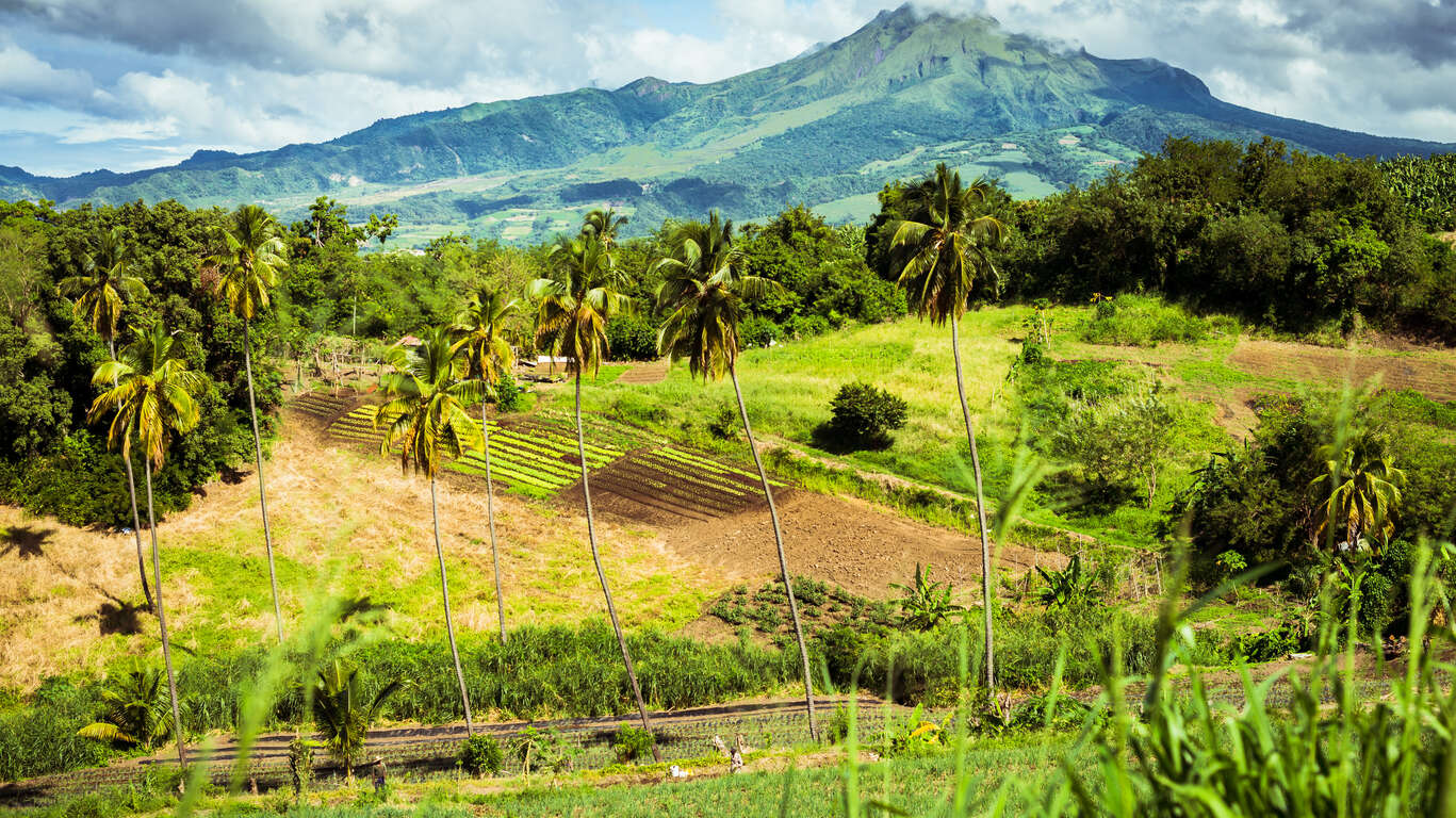 C'est le moment de lire - Nature et Découvertes Martinique