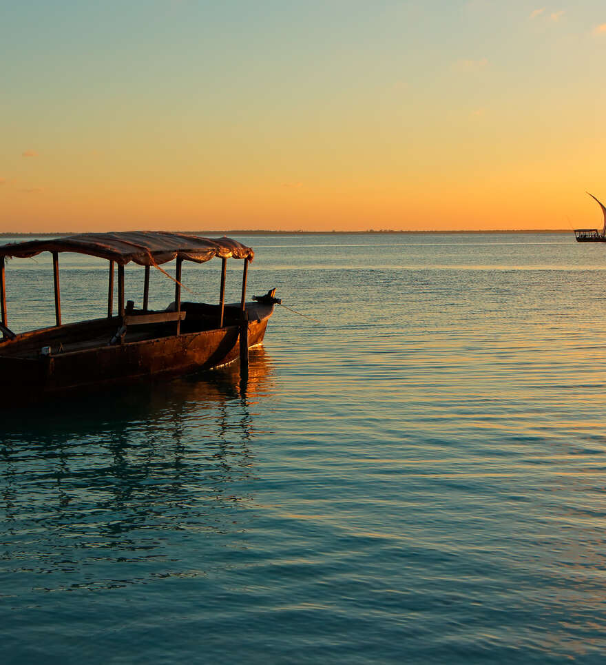 Escapade safari en Tanzanie et plages de Zanzibar