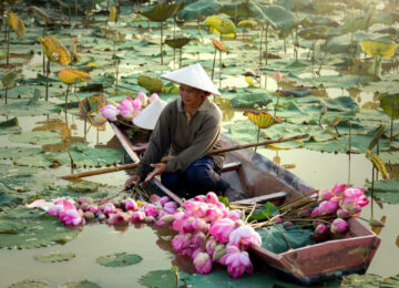 Les incontournables du Vietnam