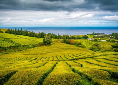 Séjour éco responsable aux Açores