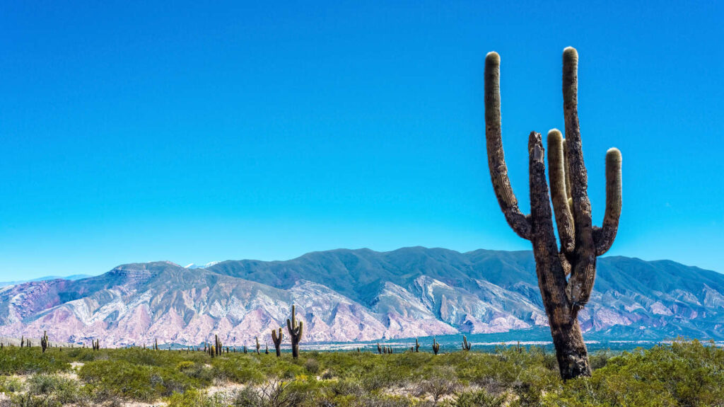 Circuit privé en Argentine du sud au nord