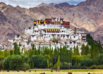 Immersion au Ladakh