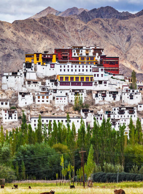 Immersion au Ladakh