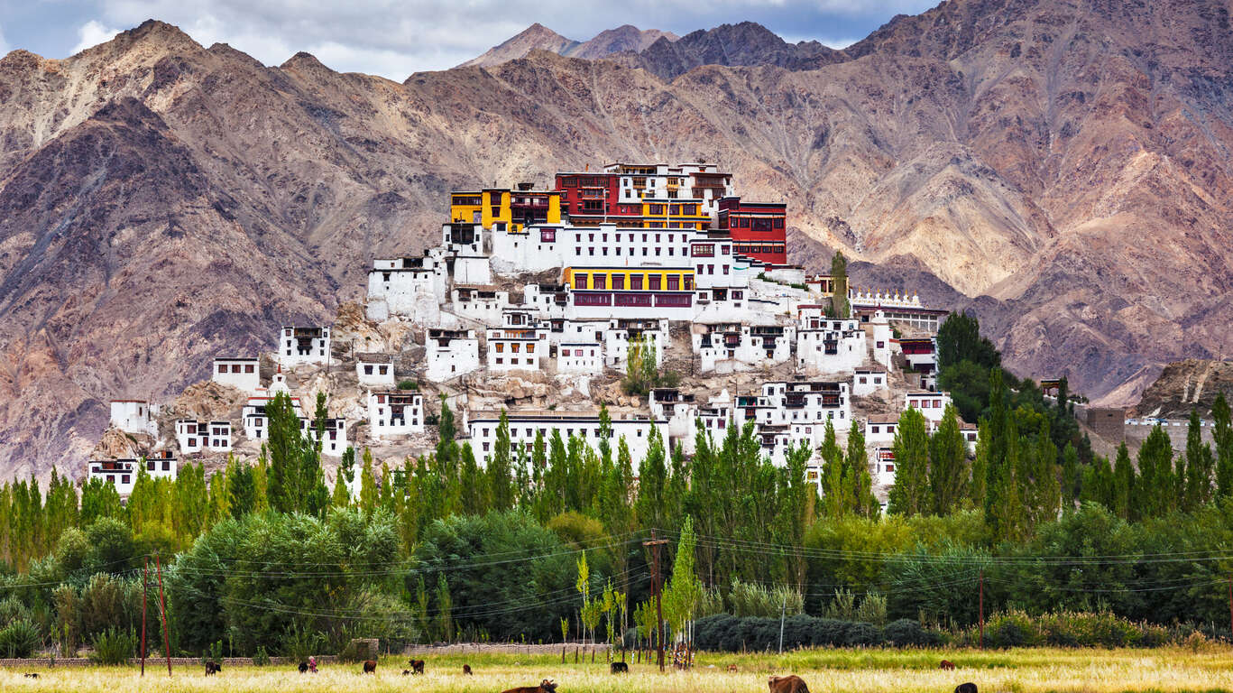 Immersion au Ladakh