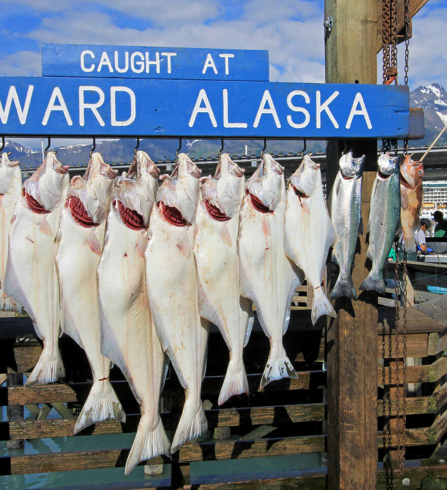 Gastronomie en Alaska : les saveurs du Grand Nord