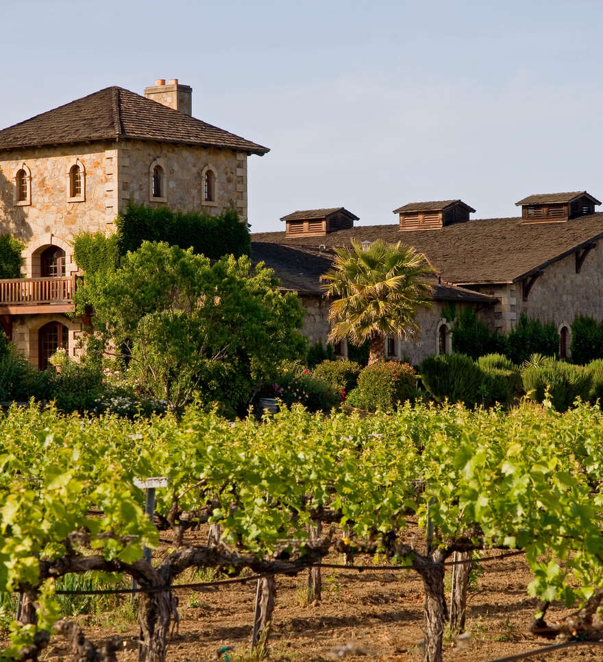 Gastronomie et spécialités californiennes à ne pas manquer