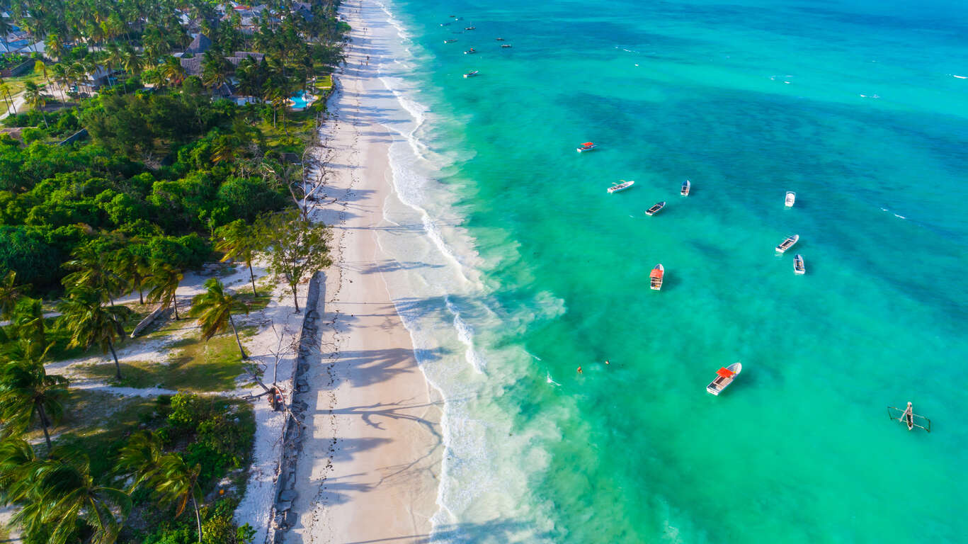 Safari au Kenya et plage à Zanzibar
