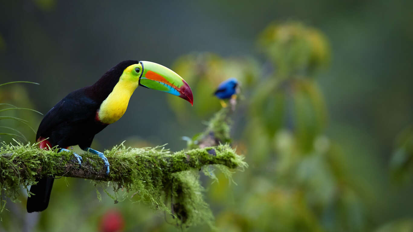 Voyage avec guide au Panama