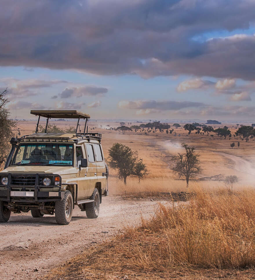 Partez en safari dans le Parc du Serengeti