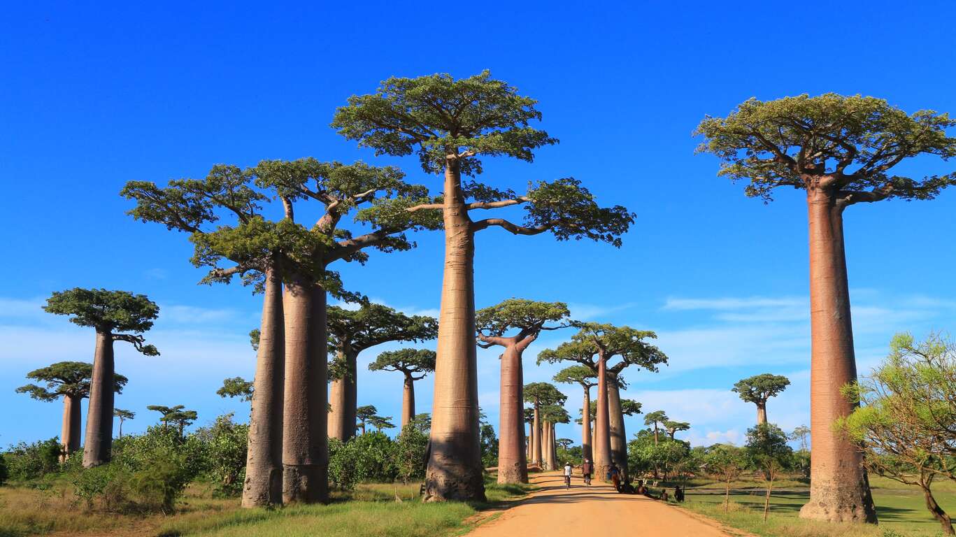 Premiers pas à Madagascar