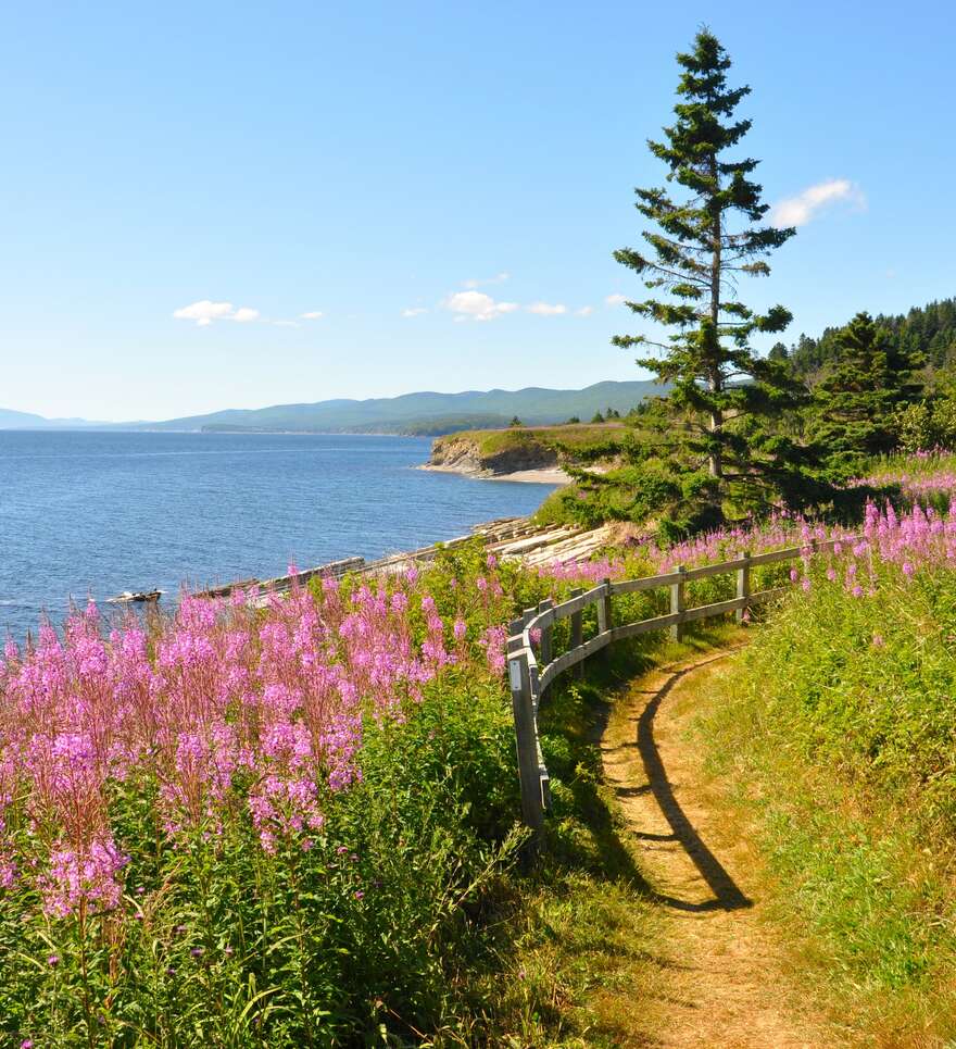  Les incontournables de la Gaspésie en road trip