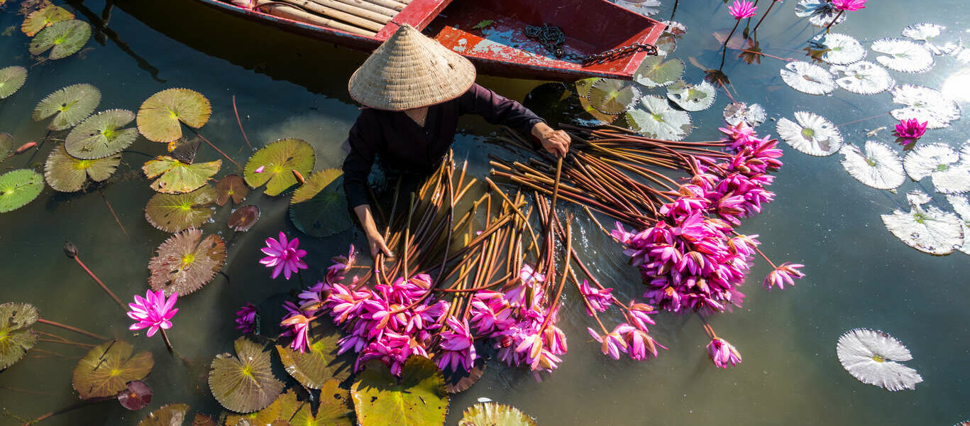 Les incontournables du Vietnam