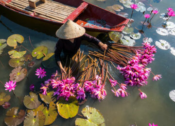 Les incontournables du Vietnam