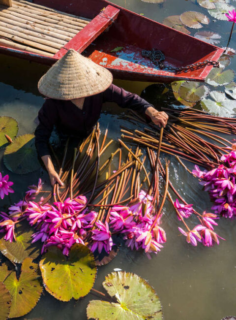 Les incontournables du Vietnam