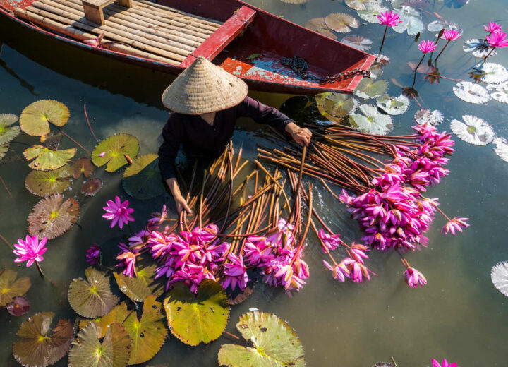 Les incontournables du Vietnam