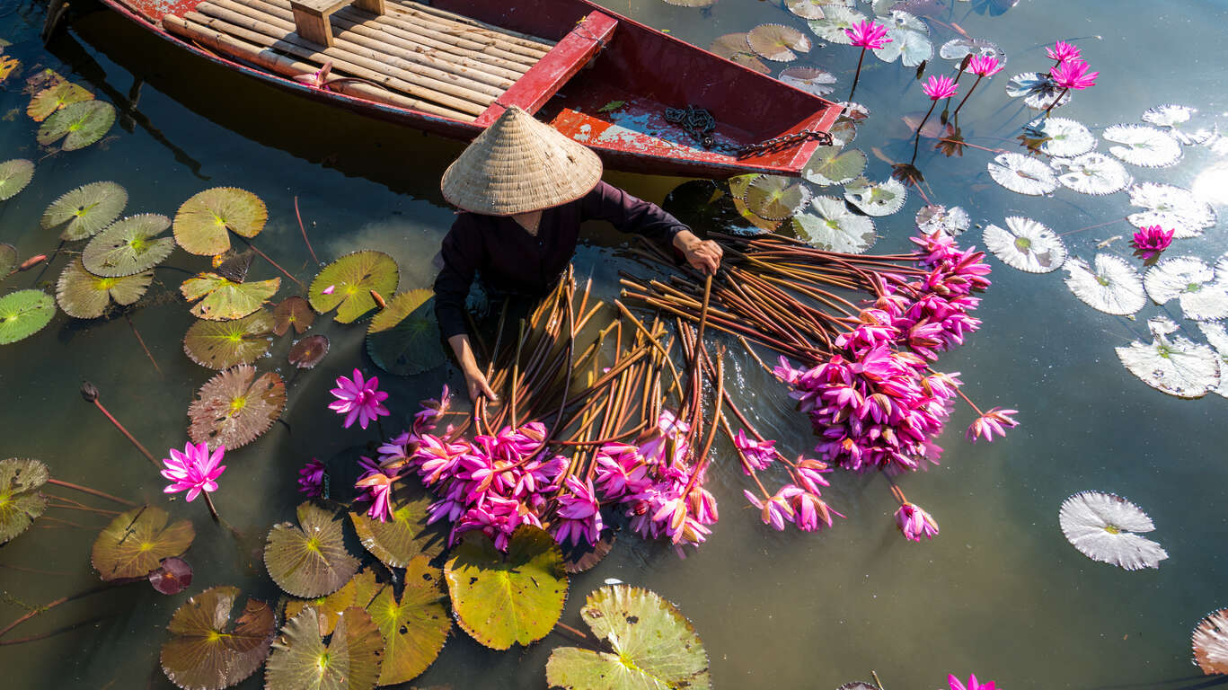Les incontournables du Vietnam