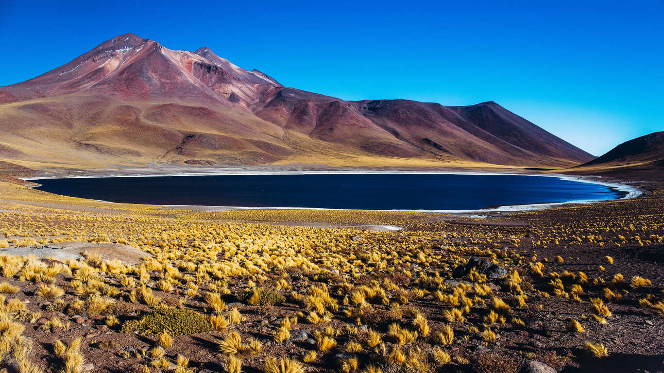 Circuit privé Chili : du désert d’Atacama a la Patagonie