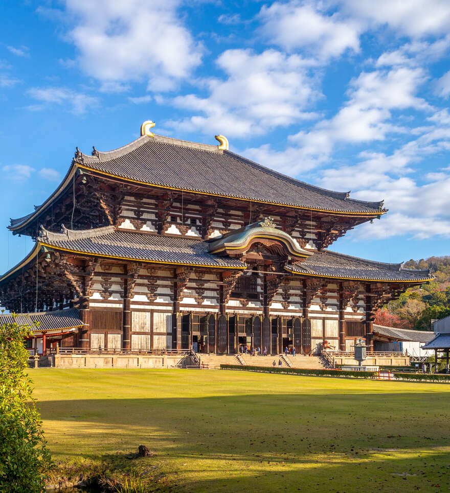 Nara, l’ancienne capitale du Japon 