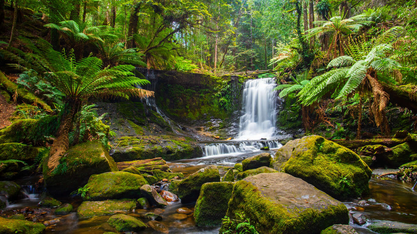 Voyage en Tasmanie 