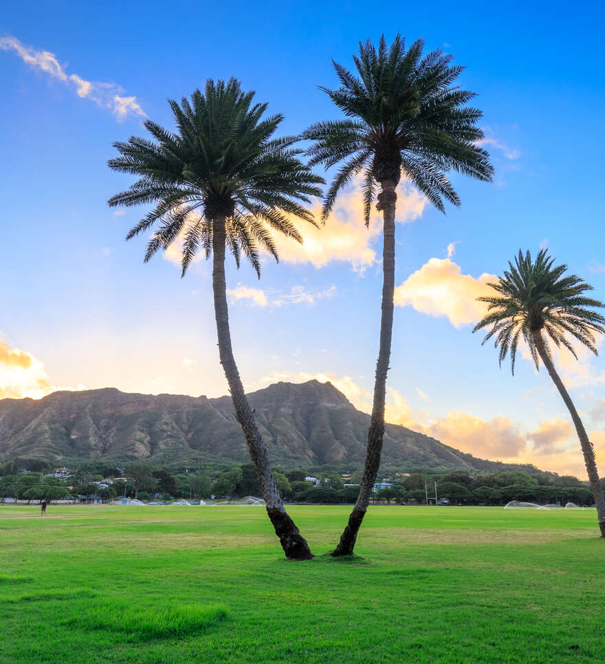 Quand partir à Honolulu ?