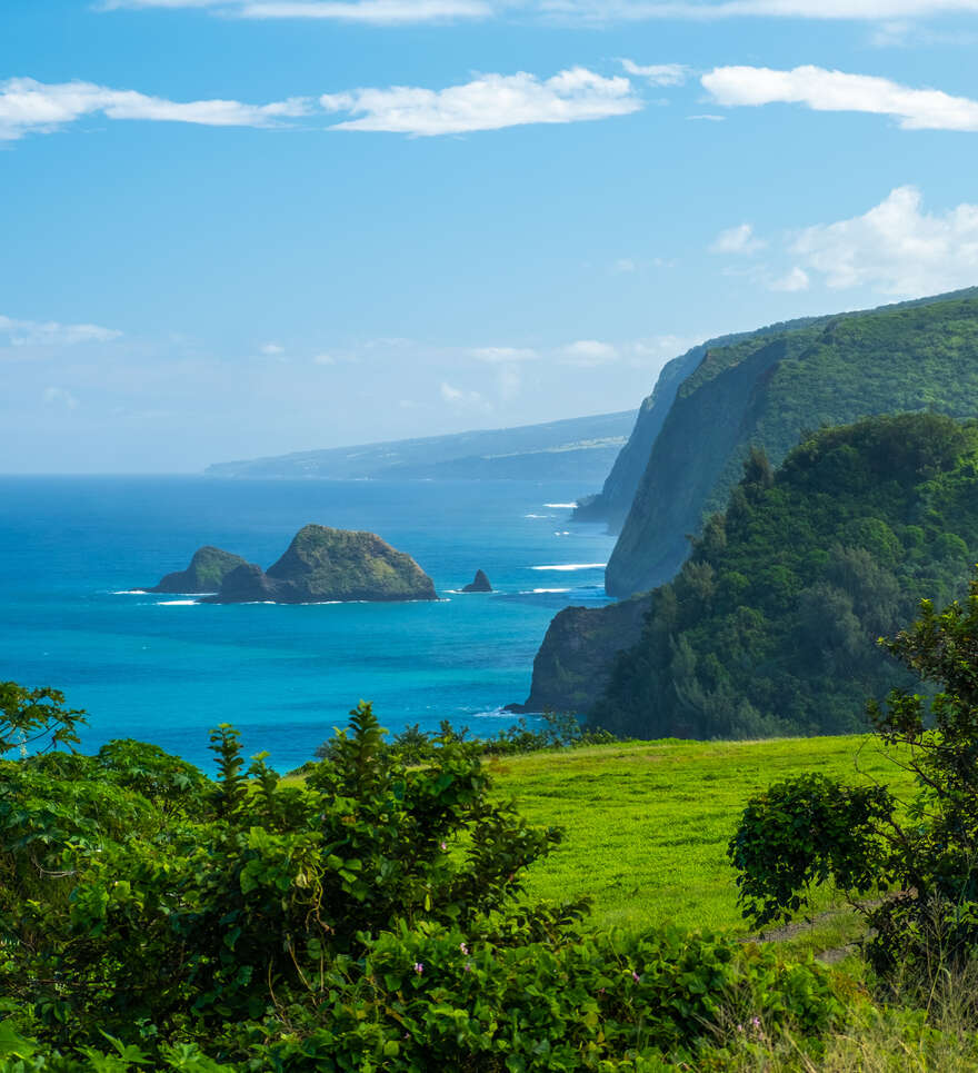 Explorez Big Island durant votre séjour à Hawaii 