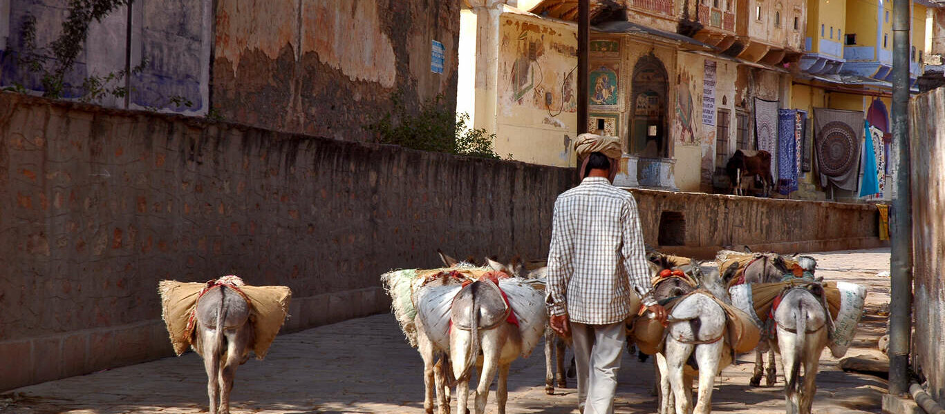 Immersion au Rajasthan