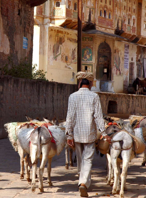 Immersion au Rajasthan