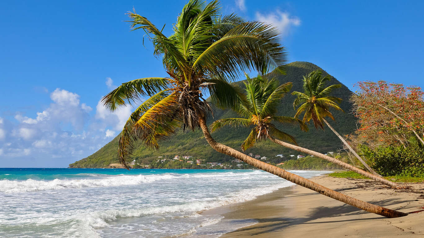 Sous le soleil de la Martinique