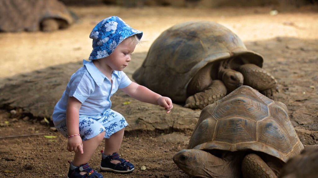 Séjour en famille à Maurice à Hôtel Véranda Pointe aux Biches