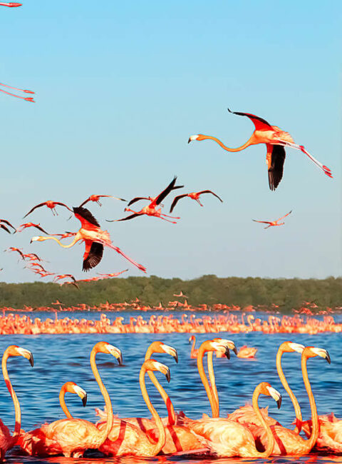 De Valladolid à Bacalar : la grande boucle du Yucatan
