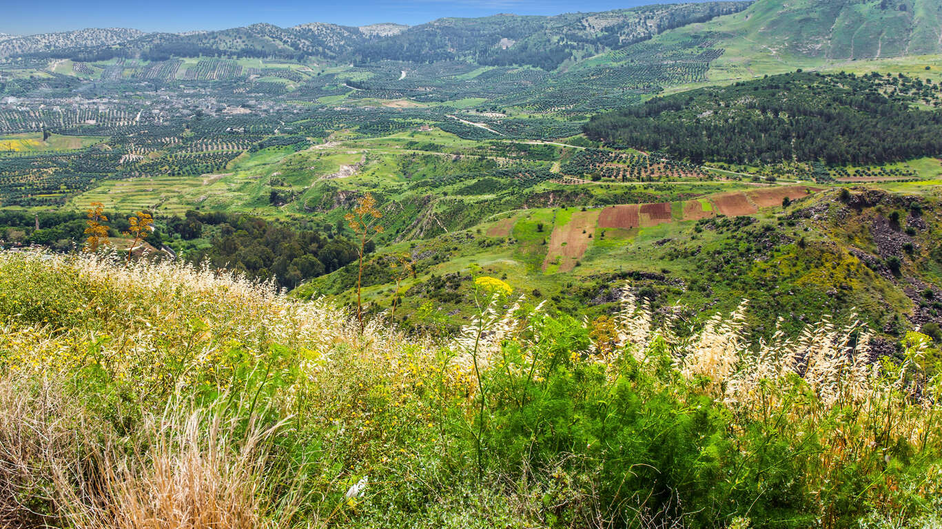 Sur la Route des Vins israéliens en liberté