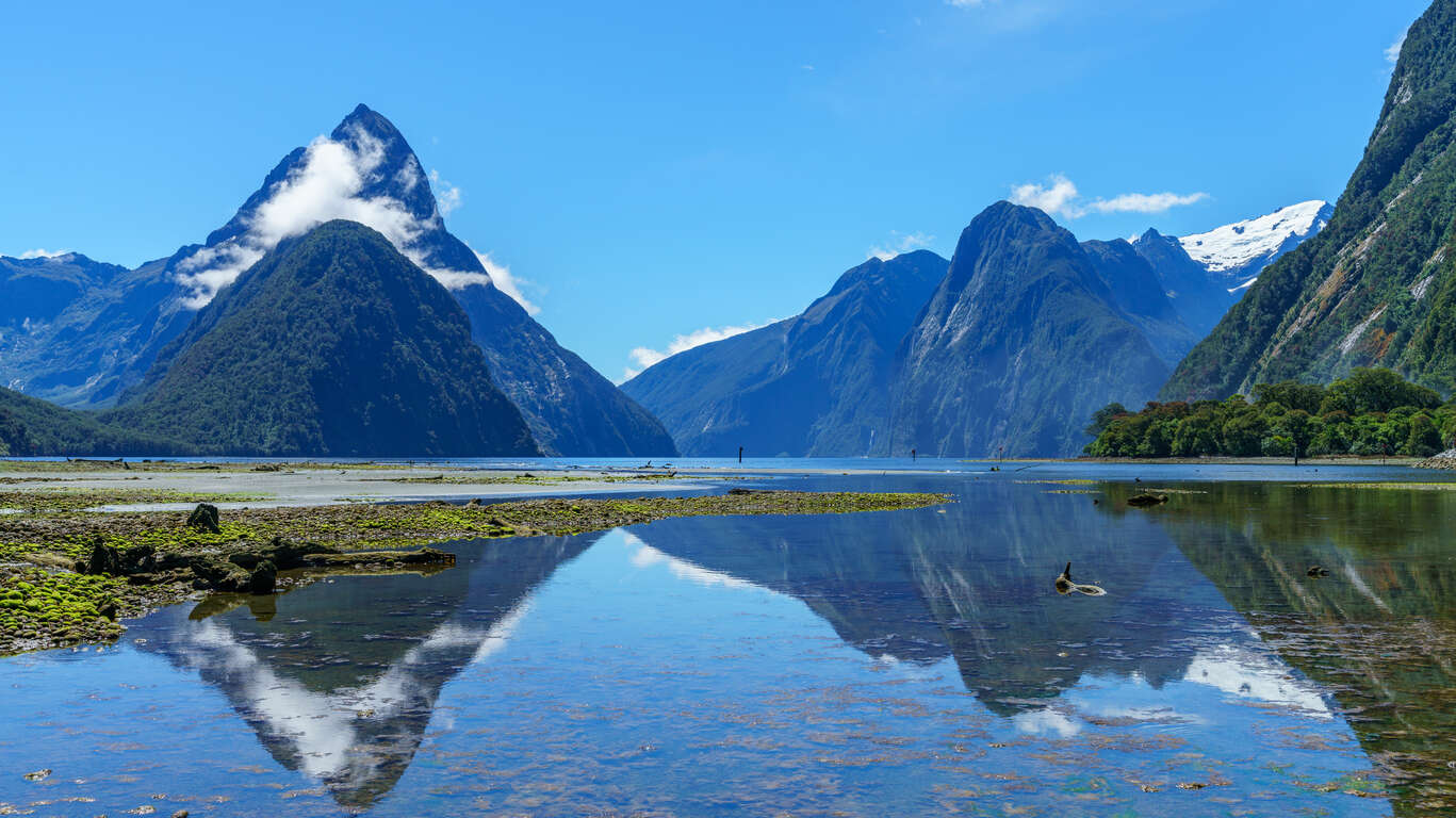 NZ Explorer : geysers, plages et glaciers