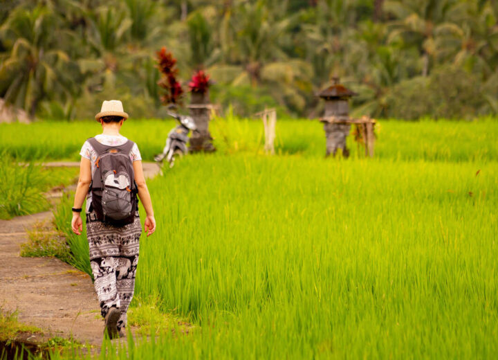 L’essentiel de Bali