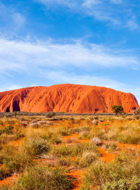 Mosaïque Australienne : les merveilles de l'Unesco