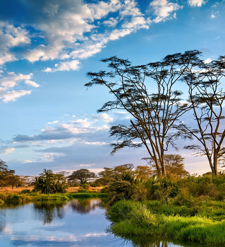 Le Parc national du Serengeti, joyau naturel de Tanzanie