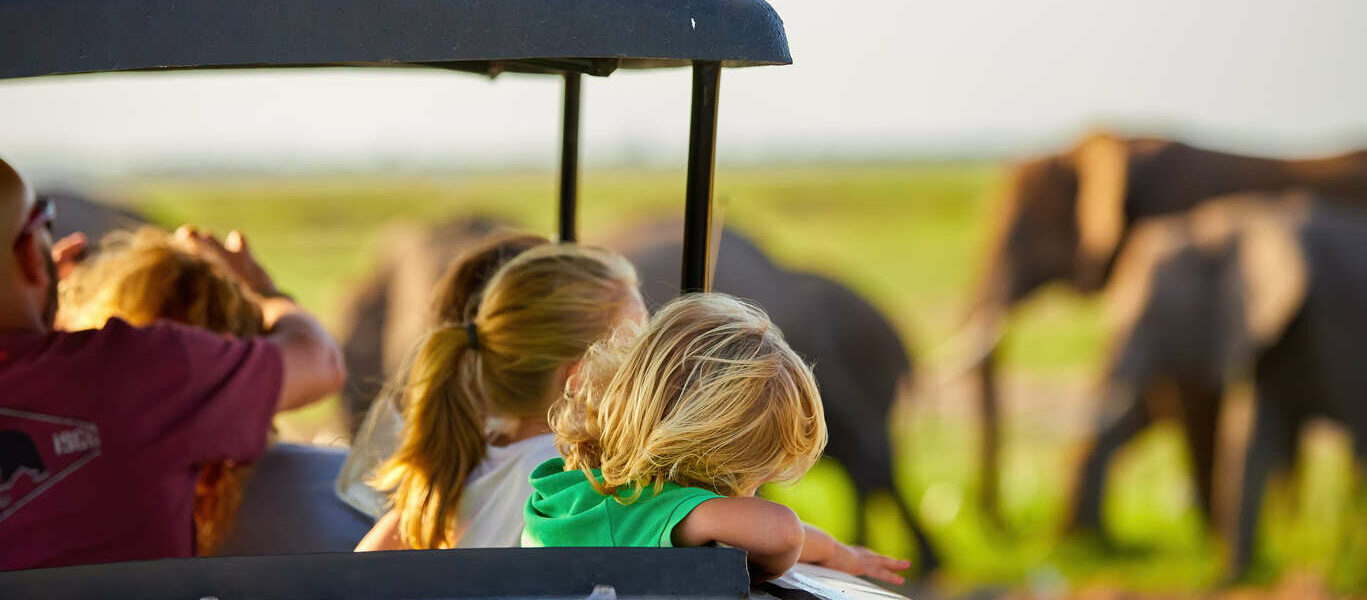 Safari familial au Botswana et Chutes Victoria