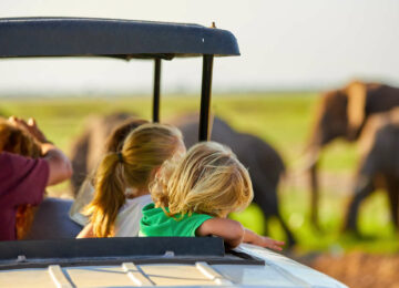 Tanzanie en famille : safaris et plage à Zanzibar