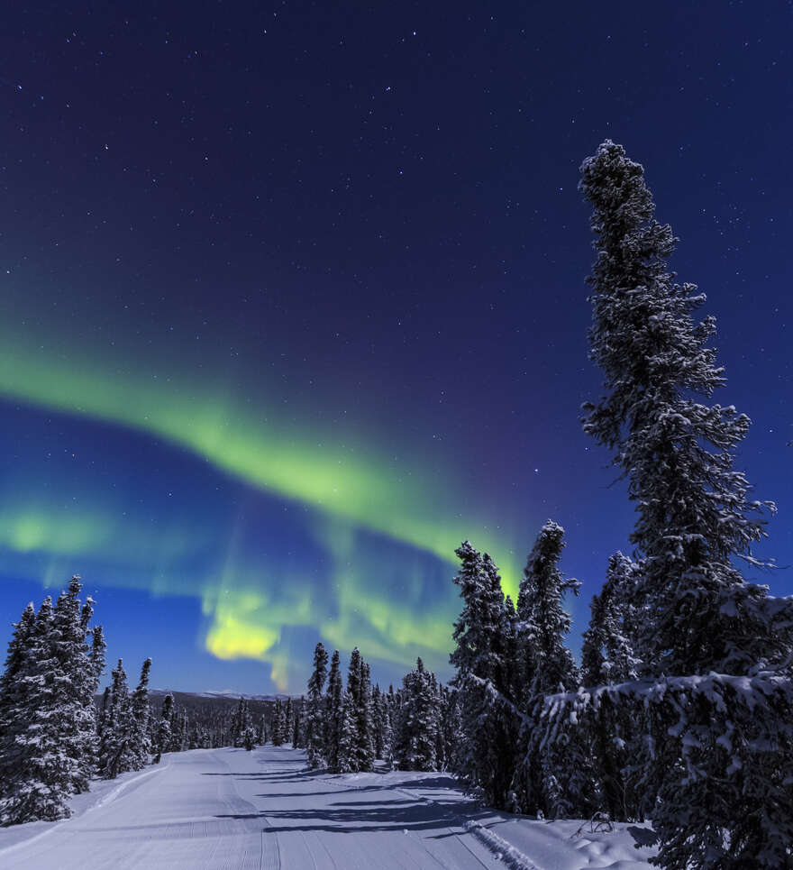 Les meilleures périodes pour partir en Alaska