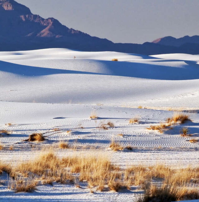 Séjour dans un ranch au Texas