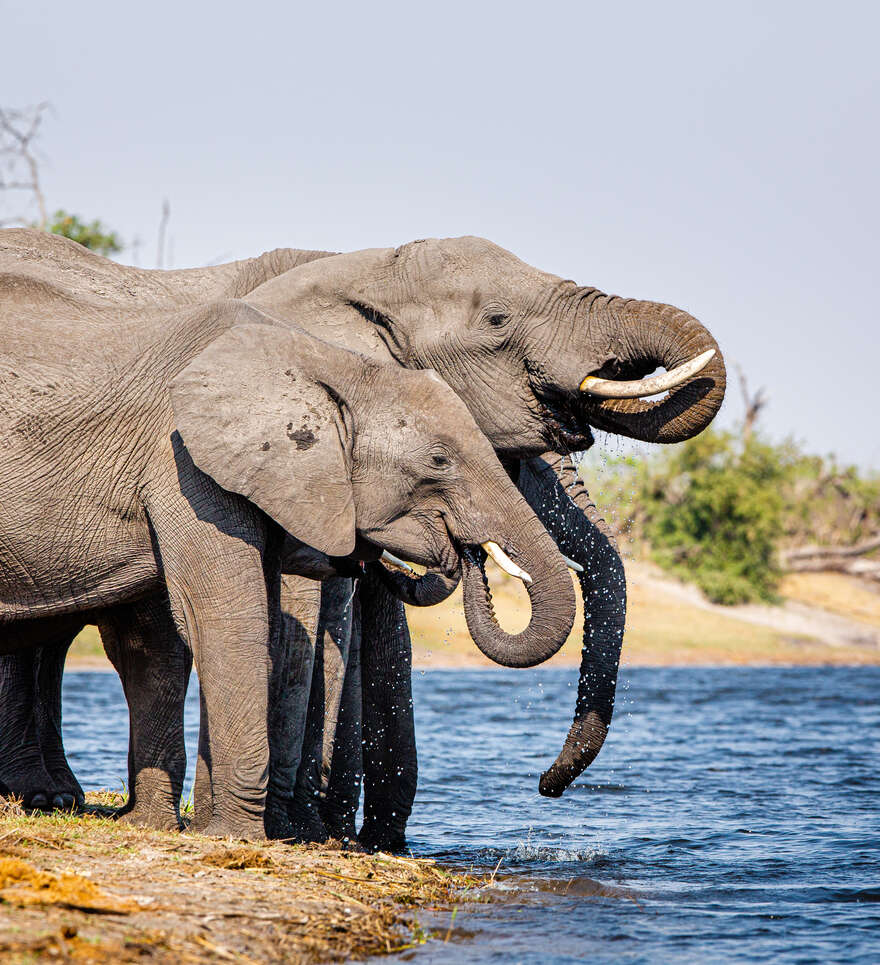 Pourquoi un séjour dans la bande de Caprivi avec Cercle des Voyages?